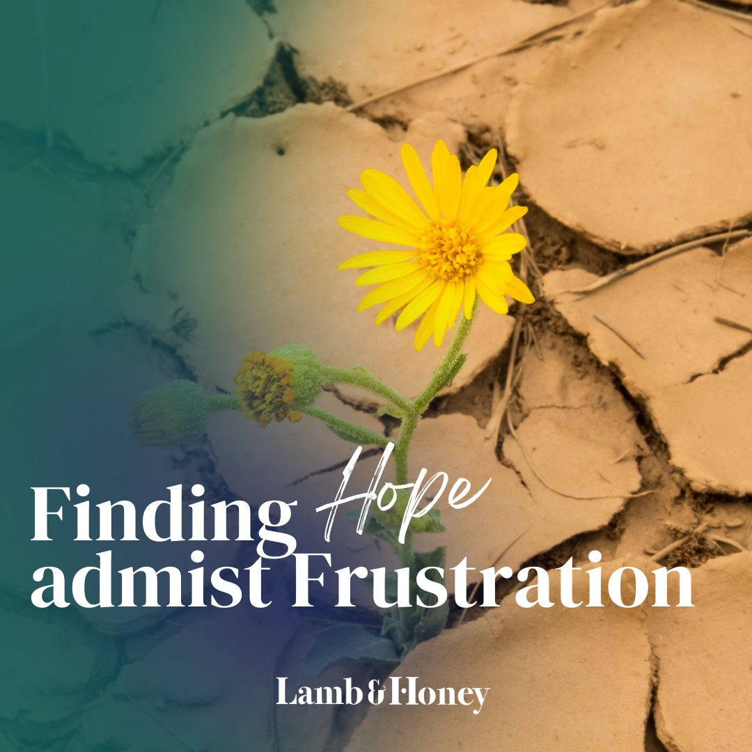 Finding Hope Amidst Frustration
